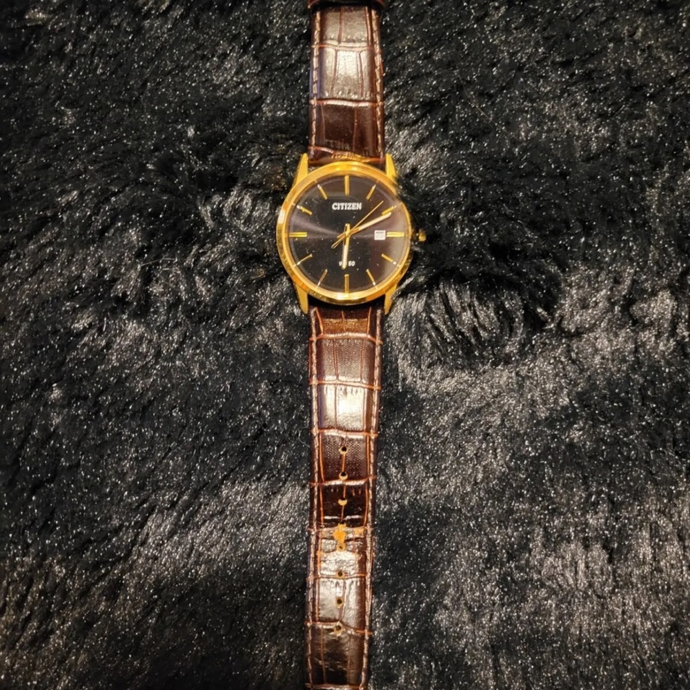 Citizen WR 50 Men’s Watch